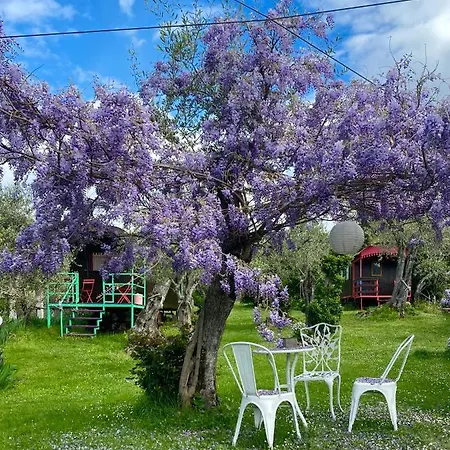 Azienda Agricola Della Mezzaluna Stiava
