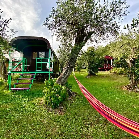 Azienda Agricola Della Mezzaluna * Stiava