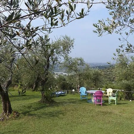 Azienda Agricola Della Mezzaluna *