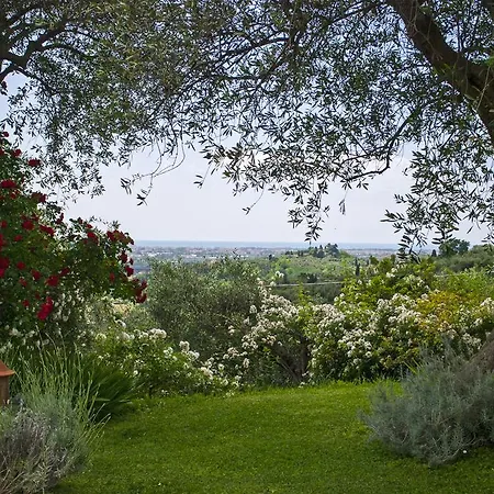 Farm stay Azienda Agricola Della Mezzaluna *