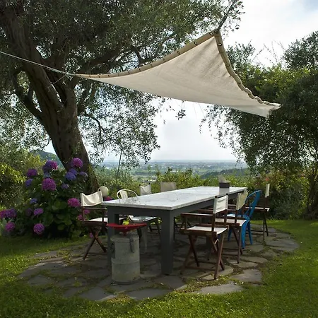Azienda Agricola Della Mezzaluna