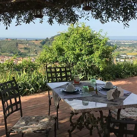 Azienda Agricola Della Mezzaluna *